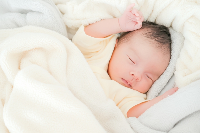 2月2週目掲載予定 修正待ち